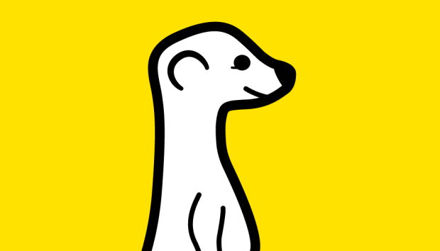 meerkat