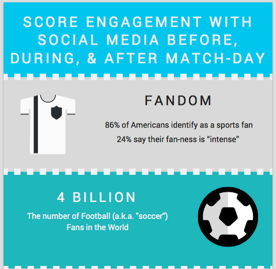 sports fan infographic thumbnail